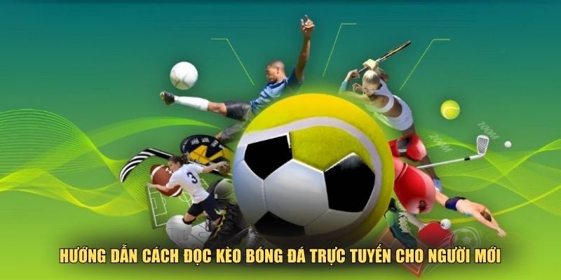 Anh em mới chơi cần nhắm chắc những kiến thức để có thể kiếm lúa